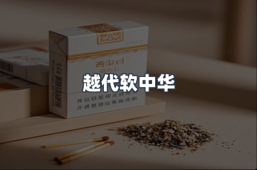 越代软中华